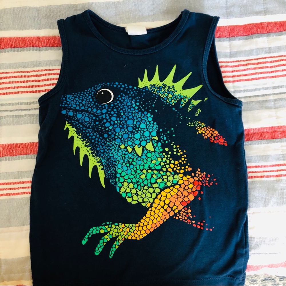 H&M Lizard Tank
